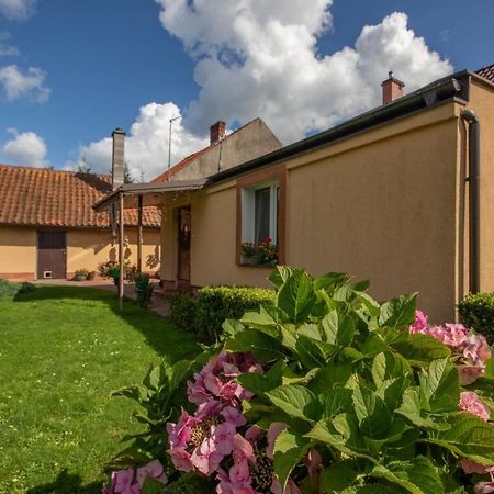 Ferienwohnung U Rybaka Braniewo Exterior foto
