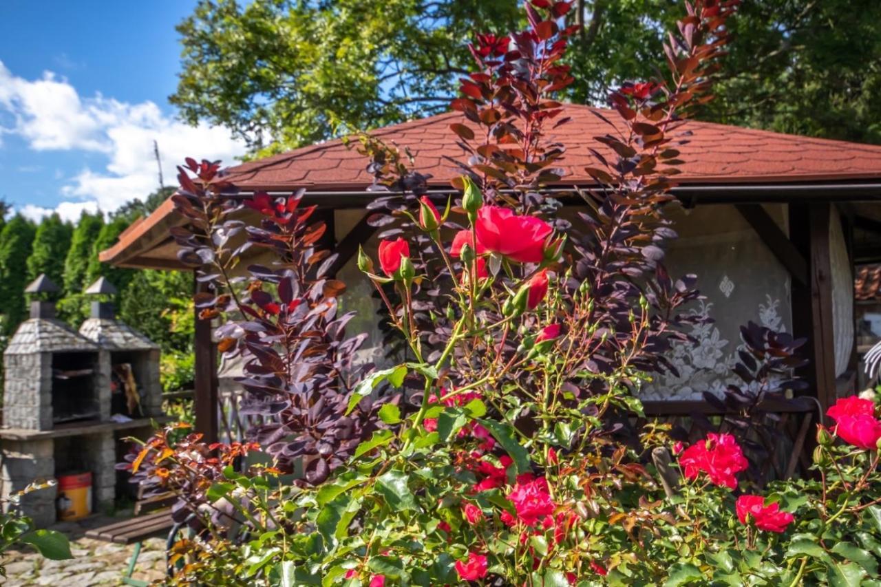 Ferienwohnung U Rybaka Braniewo Exterior foto